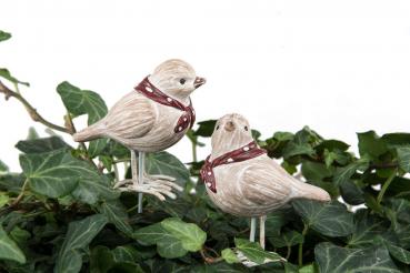 Vogel Poly Blick geradeaus